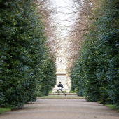 Long, straight pathway framed by tall, neatly trimmed hedges, leading to a distant statue centred at the end.