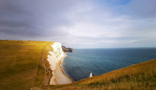View of white chalk cliffs overlooking a narrow beach and the sea, with grassy headlands stretching along the coastline under a cloudy sky.